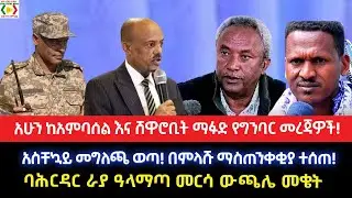 አሁን ከአምባሰል እና ሸዋሮቢት ማፉድ የግንባር መረጃዎች!አስቸኳይ መግለጫ ወጣ!በምላሹ ማስጠንቀቂያ ተሰጠ!ባሕርዳር ራያ ዓላማጣ መርሳ ውጫሌ መቄት
