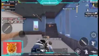 Viciemos un poco
