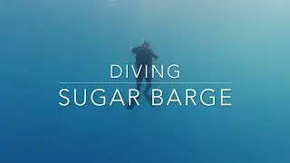 Diving Sugar Barge Incl. Massive shoal of Goliath fish