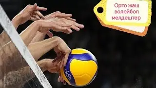 Борко волейбол