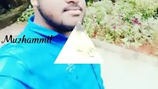 HN group friends