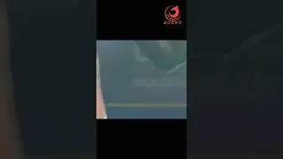 Ekaterina BELIAEVA (RUSIA) - Women Diving 10 M FINAL - European Diving Championship - KYIV 2019
