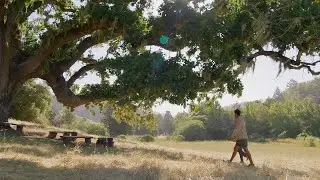 San Geronimo Commons