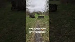 Unglaublicher Ausblick im Odenwald 🌄 &ndash; warst du schon an der Sensbacher H&ouml;he?