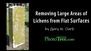 Gravestone Lichen Removal