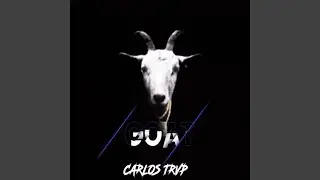 Goat