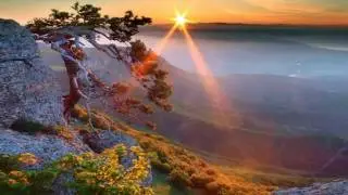 Bandari - Morning Air