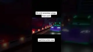 wingo from cars.. movie vs real