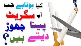 What Happens When You Stop Smoking? (Hindi / Urdu)
