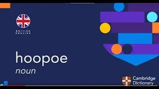 How to pronounce hoopoe noun | British English and American English pronunciation