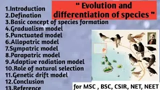 Evolution and differentiation of species | Basic concept | Types of model | Natural selection
