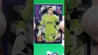WSL Stickers Pack Opening 2024 #wsl #footballstickers #earps #maryearps #panini