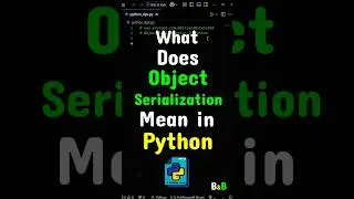 What Does Object Serialization Mean In Python? #python #coding #programming
