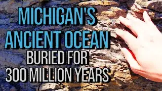Exploring a Limestone Quarry | Collecting Fossils | Rockport, Michigan