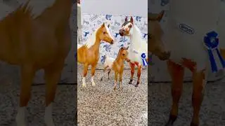 Давайте распакуем семейный набор к 75-летию! 🤩 #breyer #schleich #распаковка #обзор #лошадь #хобби