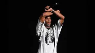 DMX - The Professional *napisy PL*