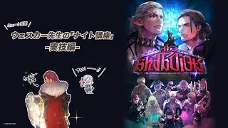 【FF14配信】【ミュート配信】ウェスカー先生の「ナイト講座」-実技編-【#FF14】
