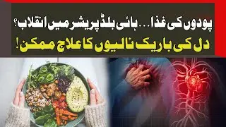 Plant-Based Diet Can Protect Hypertensive Patients &mdash; New Scientific Breakthrough