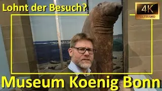 Top-Naturkundemuseum: Museum Koenig Bonn -  Der Museumscheck: Lohnt der Besuch?