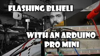 Перепрошивка любимых регуляторов скорости Little Bee 20A с помощью BlHeli и Arduino Pro Mini