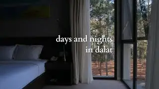 days and nights in Dalat // my healing vlog #dalat