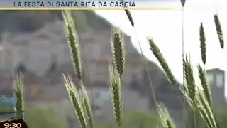 La festa di Santa Rita da Cascia