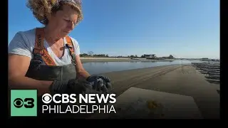 N.J. oyster farmer, longtime chef among honorees at annual dinner for women in the food industry