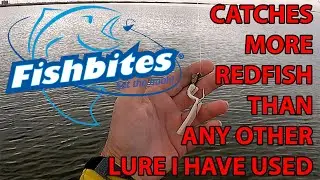 Best redfish & black drum lure I have ever used, Fishbites on a jighead while skinny water fishing