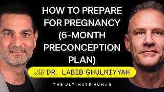 Dr. Labib Ghulmiyyah: Preparing Your Body for Pregnancy, Fertility Decline & Preconception |TUH #216