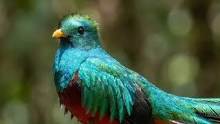 Where Ocean & Jungle Colors Collide