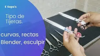 Tijeras para peluquería canina 😎✂ #petgrooming