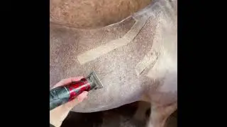 Liveryman Harmony Plus Horse Clipper