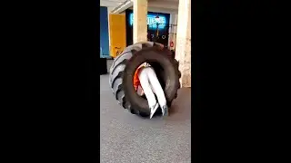Gym Promo gone WRONG!?