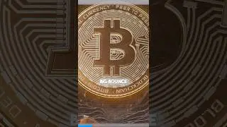 Bitcoin Bounce - I Called It