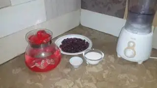 Falsa Juice Recipe In Urdu/Hindi