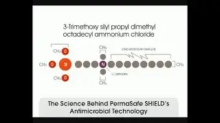 The Science Behind PermaSafe SHIELD&rsquo;s Antimicrobial Technology