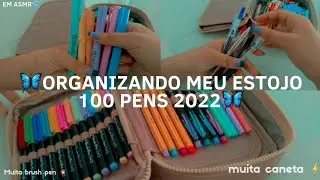 ORGANIZANDO MEU ESTOJO 100 PENS 2022 🦋🤍 {muita caneta, muita brush, muita coisa linda ⚡}