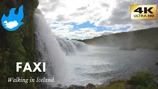 Iceland Walking Tour - Faxi [4K]