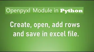 Append content in excel sheet in python via openpyxl module