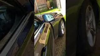 N47 timing chain noise?