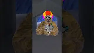 What is my Color Code?