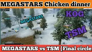 Megastars vs Tsm Entity {final circle} || PMWL EAST W2D5 match2 || Megastars chicken diiner {2020}
