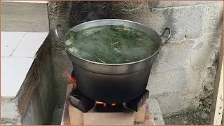 La salicornia, l'asparago del mare