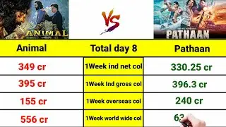 Animal vs Pathaan movie day 8 collection|Animal vs Pathaan day 8 collection, topalways