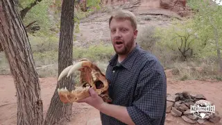 Ice Age Predators