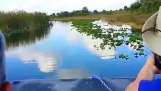 Airboat on the Florida Everglades