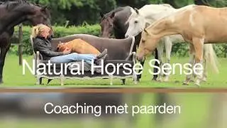 Coaching met paard, paardencoaching