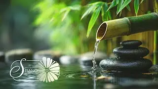 Soothing Morning Spa 🌸 3 Hours of Relaxing Piano Music for Spa, Massage & Meditation Ambience