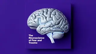 🧠 The Neuroscience of Fear and Trauma &ndash; Understanding the Brain&rsquo;s Response 😨