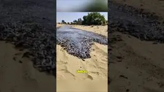 Река струящегося песка.